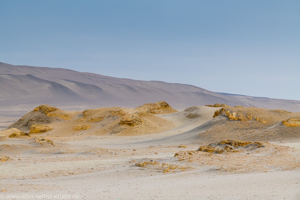 07__D863426_1720