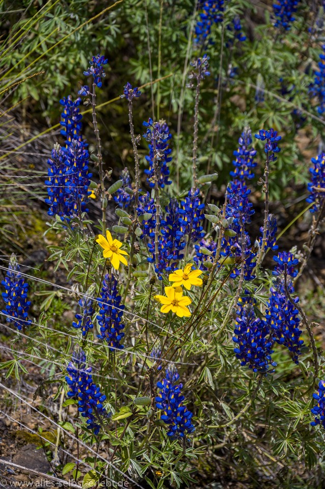 07_Z637517_1720