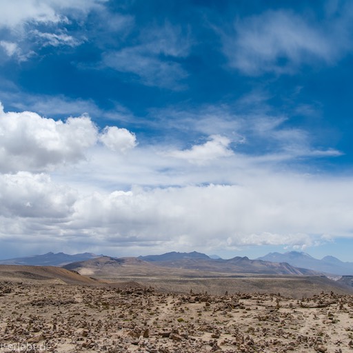 08_D858134_1720