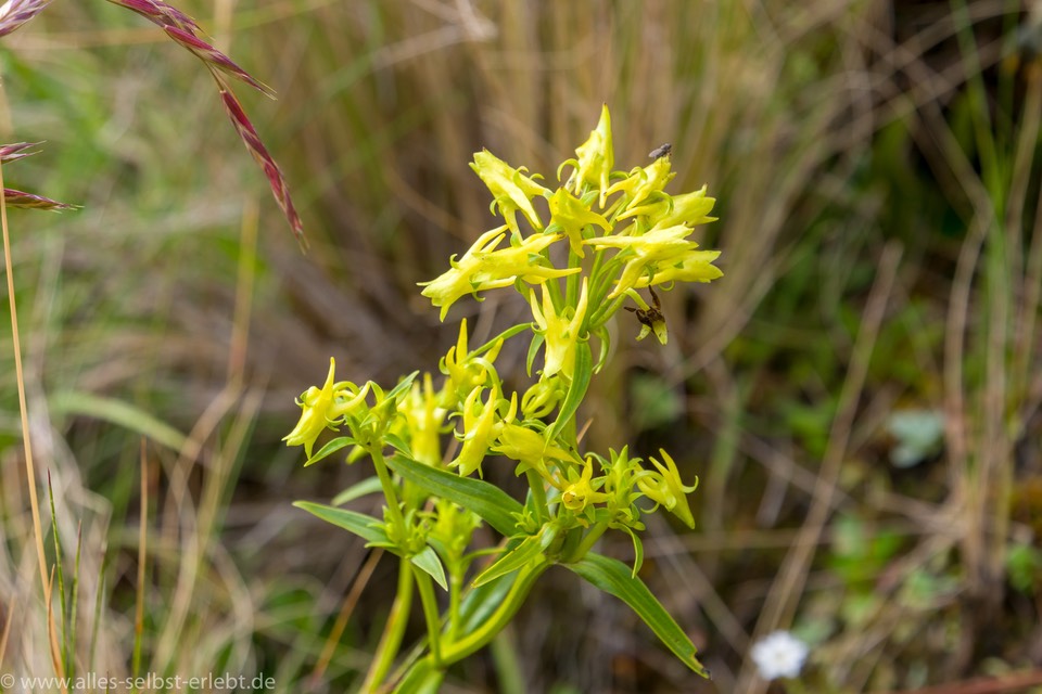 09-1_G_95171-2_1720