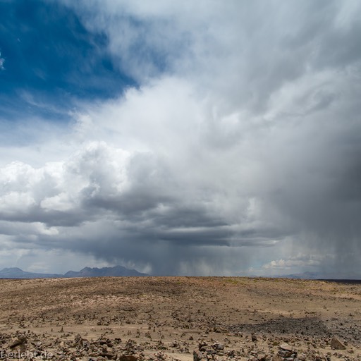 09_D858138_1720