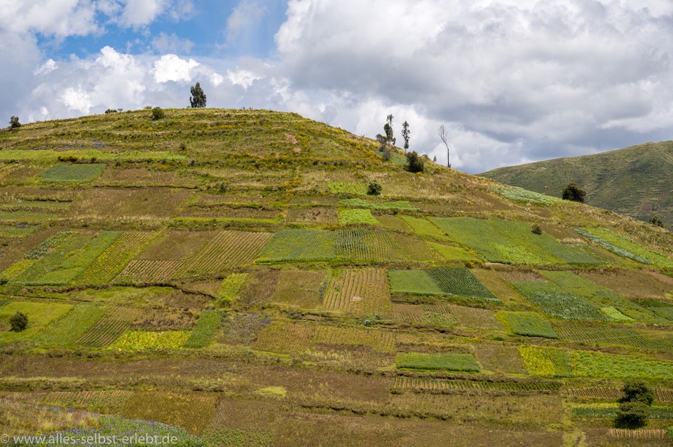09_Z637510_1720