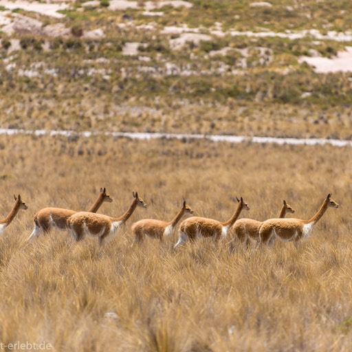10-1_D801212_1720