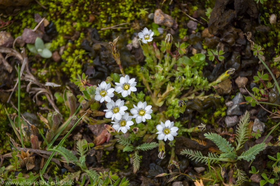 12-1_GX92390_1720