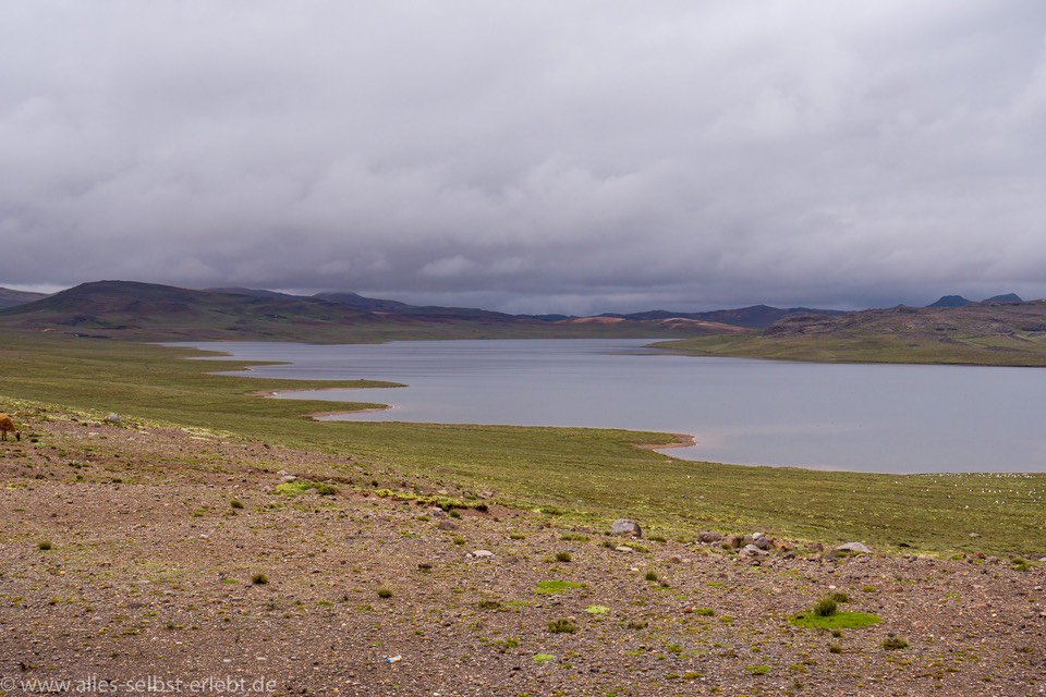 16__G_97732-2_1720