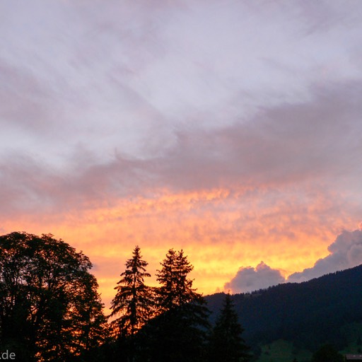 02_Url_P1050434_1920