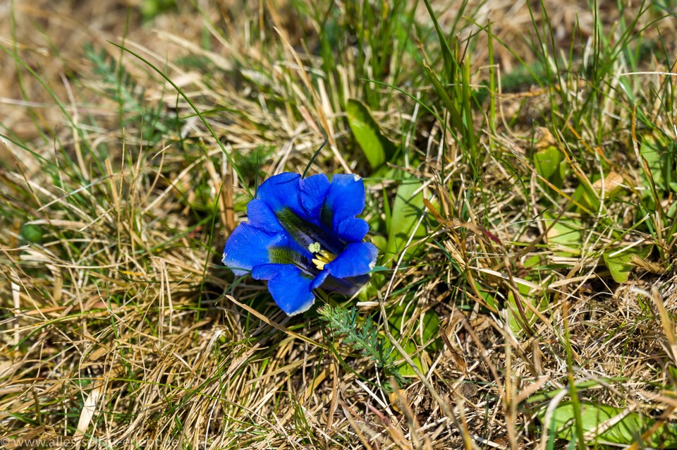 03__Z621876_1720