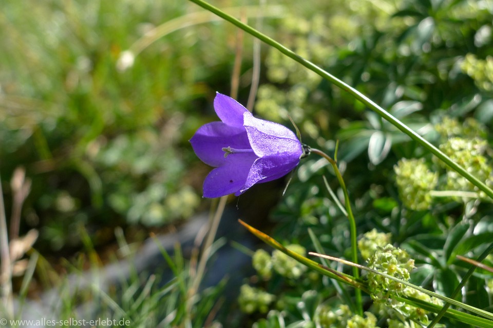 16_Url_P1010514_1920