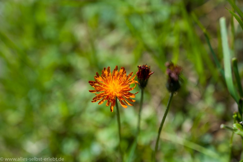 20__Z614515_1720