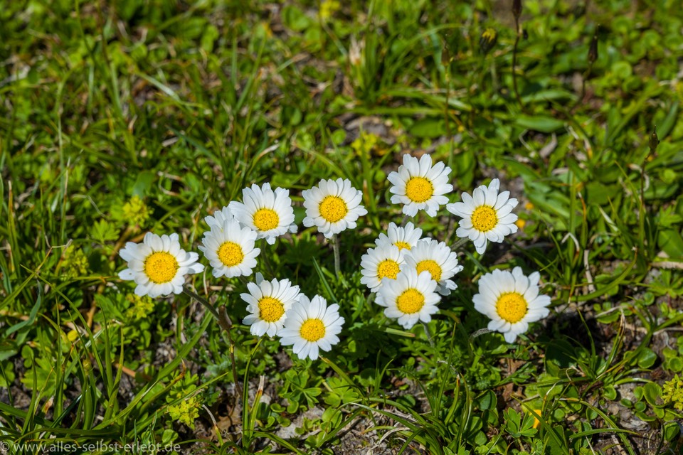 25__Z615112_1720