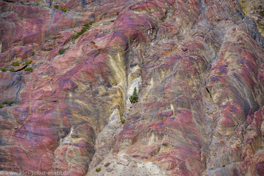 29_Z614660_1960