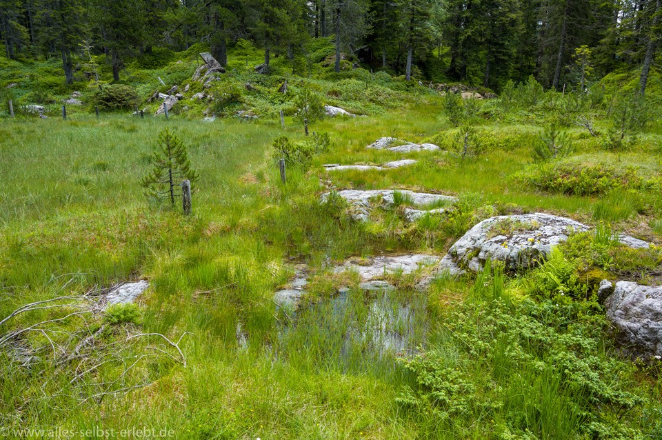 30_Z612149_1720